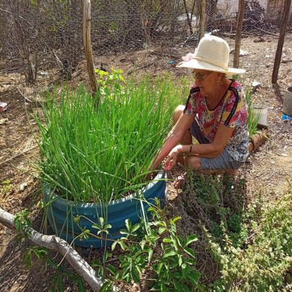 A AGENTE CÁRITAS GINA SENA RELATA COMO TEM SIDO ACOMPANHAR AS MULHERES DA CADERNETA AGROECOLÓGICA