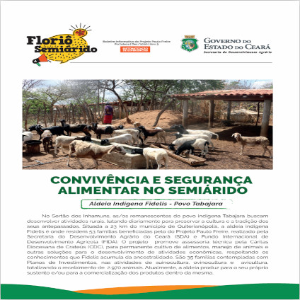FLORIÔ DO SEMIÁRIDO: ALDEIA INDIGENA FIDELIS – POVO TABAJARA