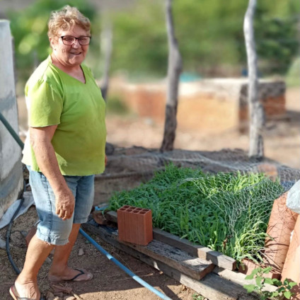 O MILHO HIDROPÔNICO AJUDA AGRICULTORES E AGRICULTORAS NO ENFRENTAMENTO À ESTIAGEM