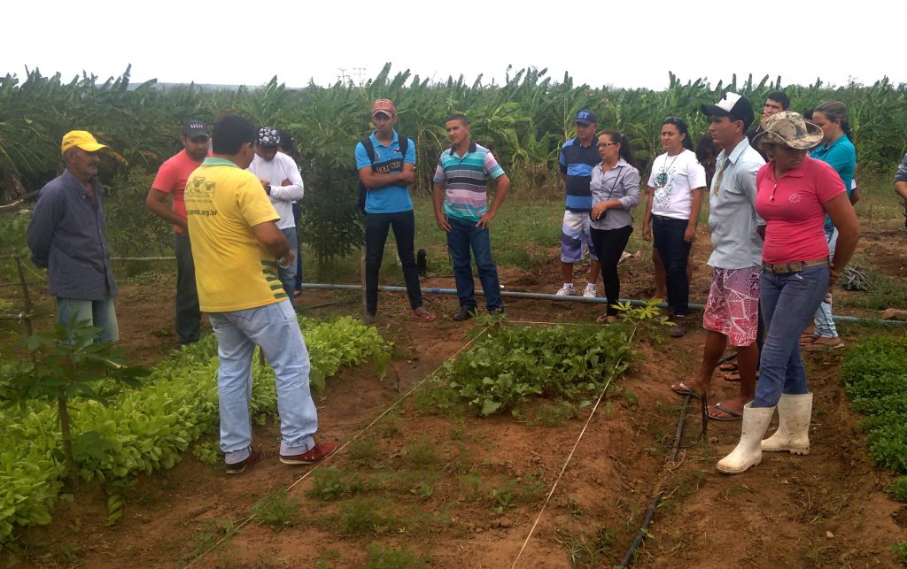 DIA DE CAMPO: TECENDO SABERES – HORTICULTURA ORGÂNICA DA TEORIA A PRÁTICA