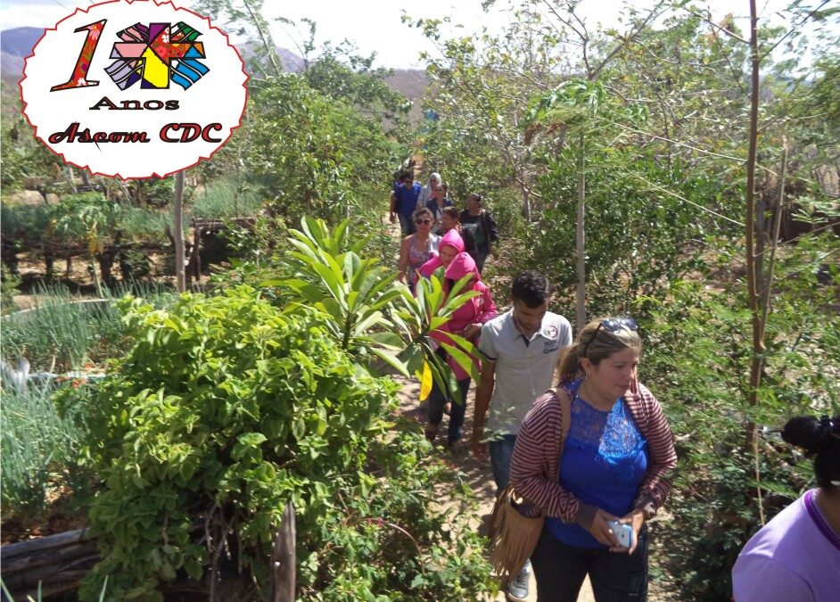 PROJETO CISTERNA NAS ESCOLAS PROMOVE FORMAÇÃO EM EDUCAÇÃO CONTEXTUALIZADA